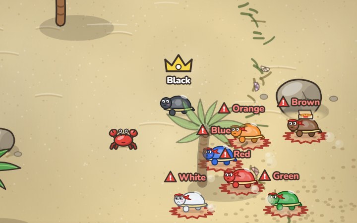 Crown Turtle on Sunny Beach: a black turtle wears the crown as six chasers close in